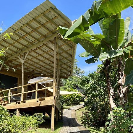 Eden Jungle Lodge Bocas del Toro Exterior photo