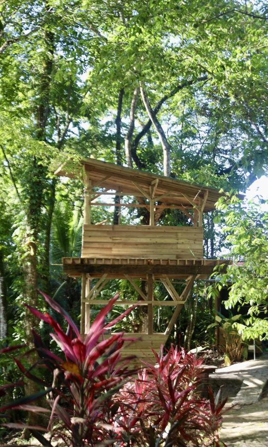 Eden Jungle Lodge Bocas del Toro Exterior photo