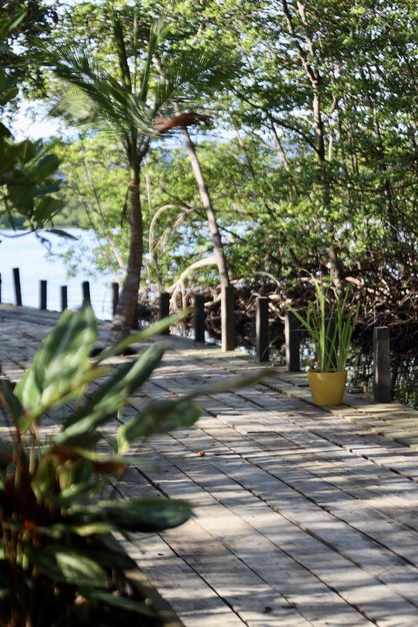 Eden Jungle Lodge Bocas del Toro Exterior photo